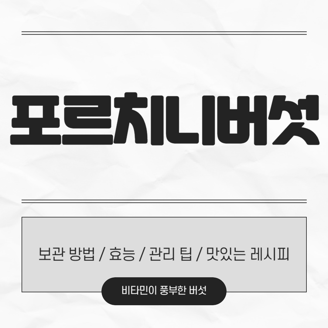 포르치니버섯