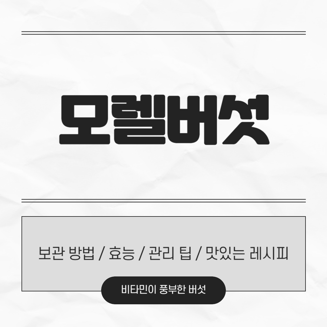 모렐버섯